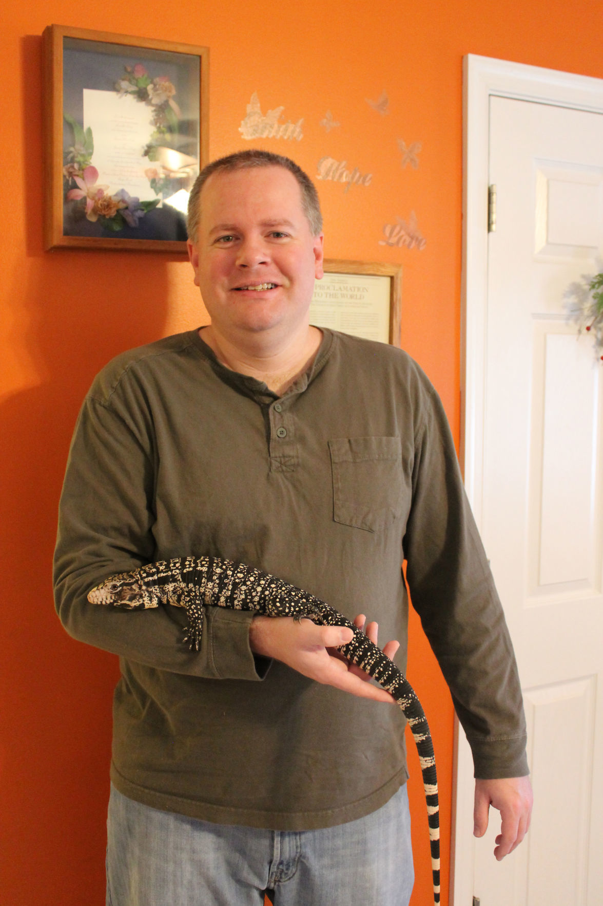 Reptiles